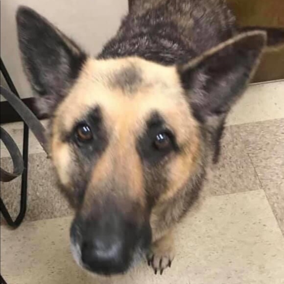 Meet your Posher, Stephanie - Picture 4 of 5